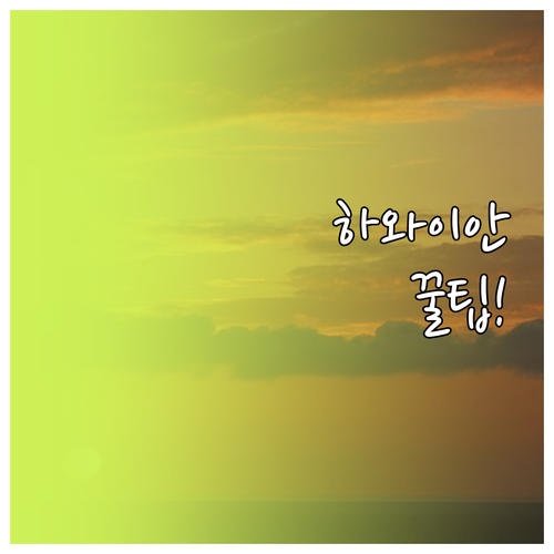 하와이안 항공 고객센터 전화번호와 예..