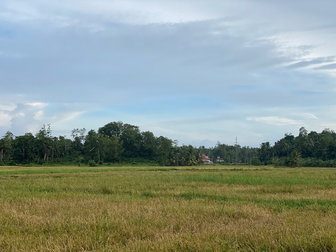 Land Use