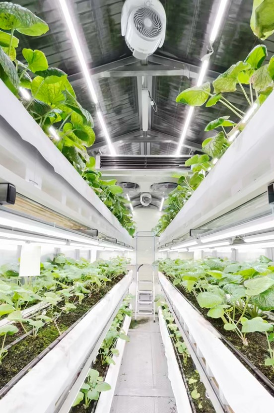 스마트 팜 기술, 도시 농업을 어떻게 바꾸고 있나?