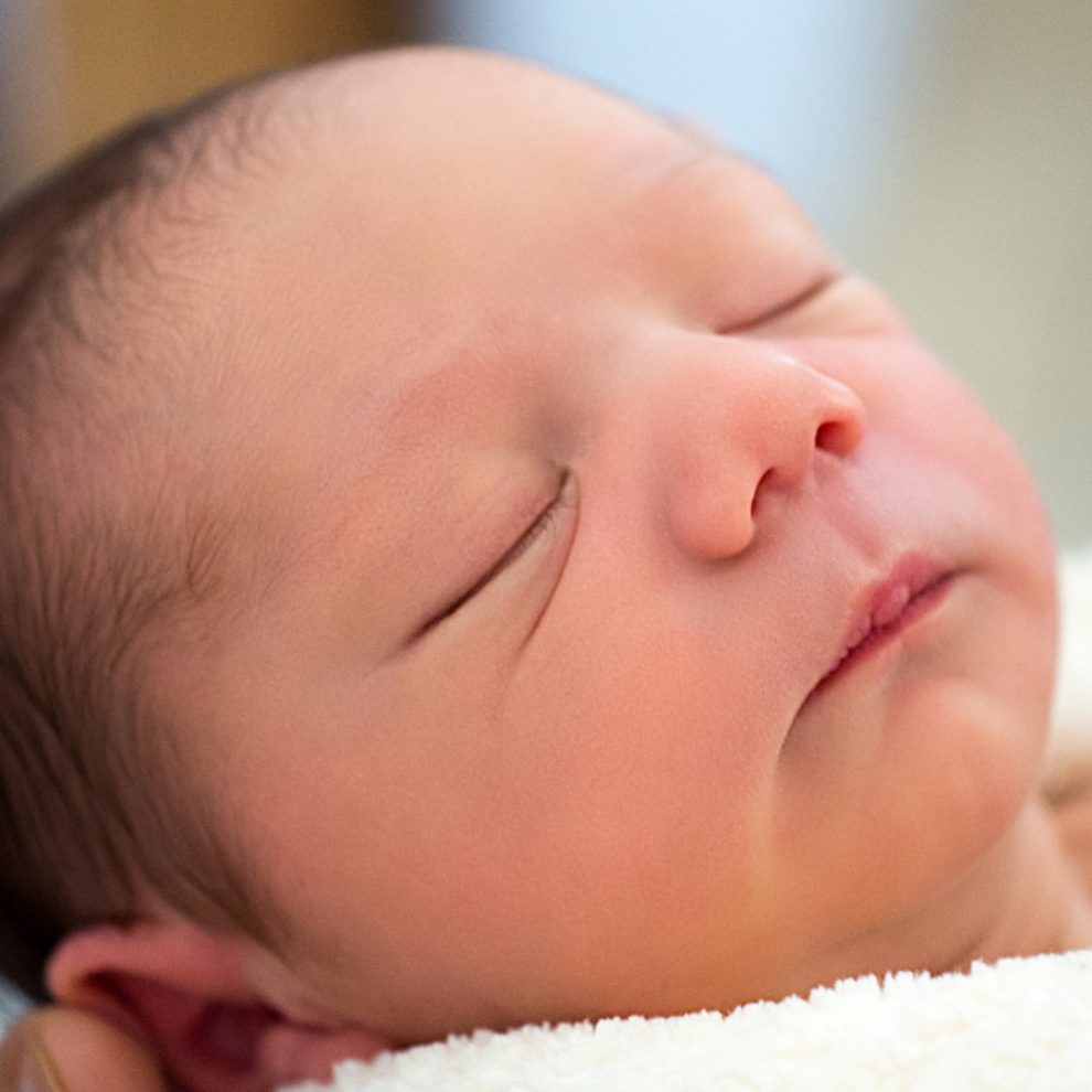 출생신고서 열람