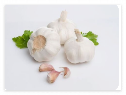 마늘의-효능