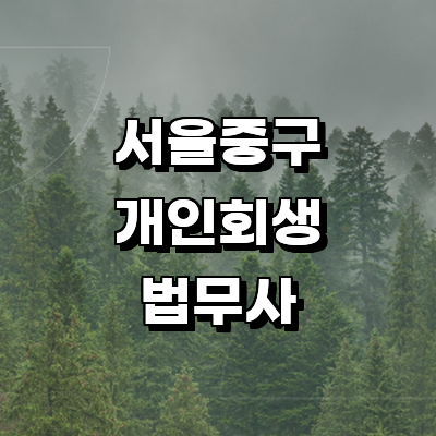 서울 중구 개인회생 법무사