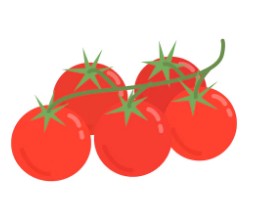 스테비아-방울-토마토-칼로리-5