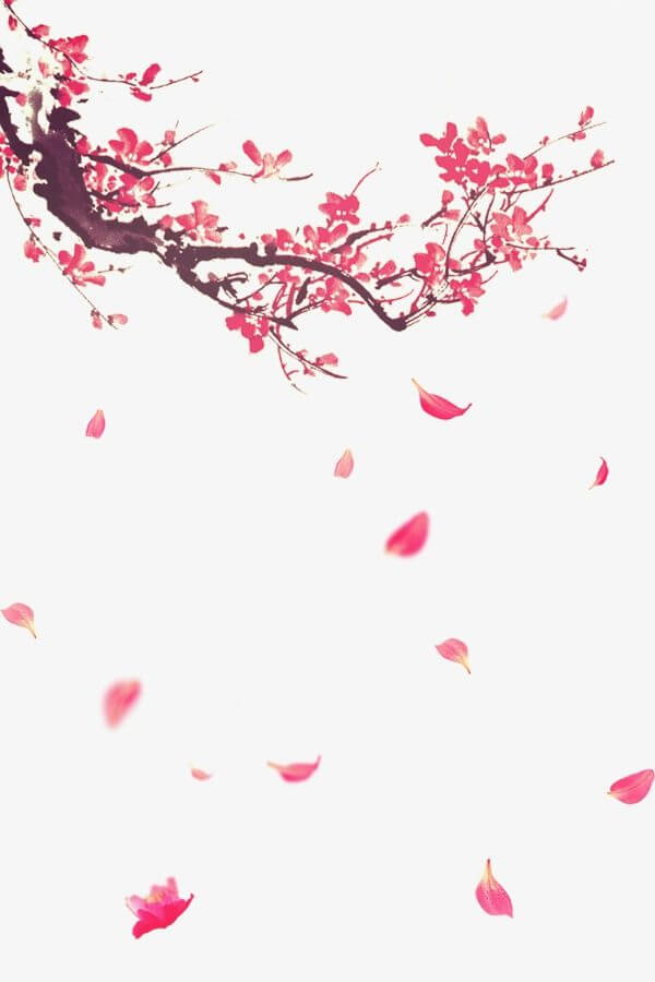 광양 매화 축제