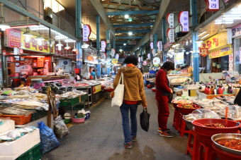 2026년 정부 예산안(728조원)