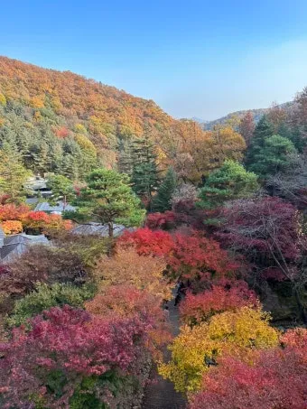 화담숲 입장료 할인 받는 법부터 예매 꿀팁까지는 총정리_12