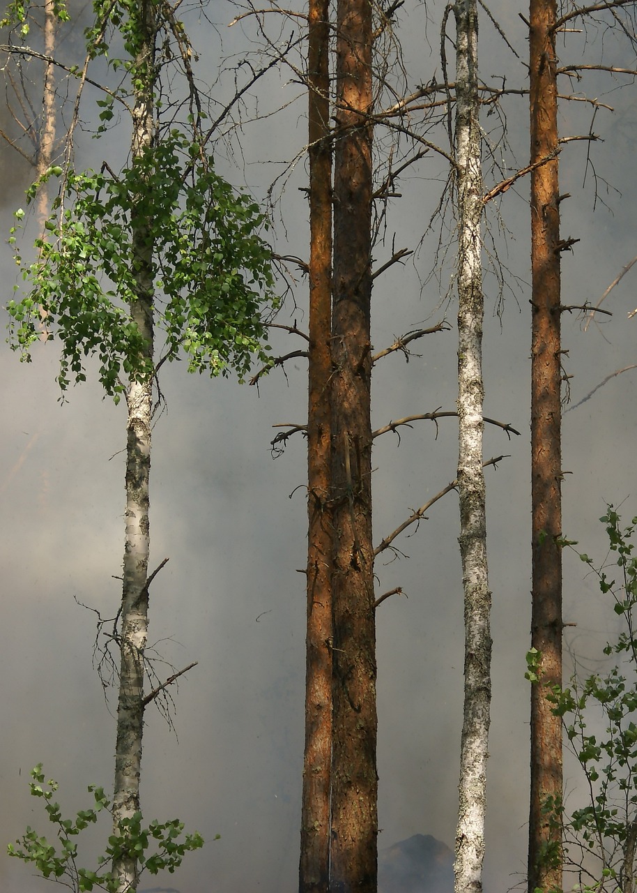 전국 곳곳에서 동시다발적 산불 발생… 피해 속출
