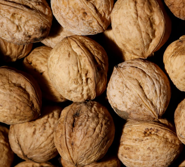 전립선에 좋은 음식