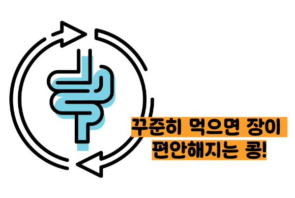 병아리콩 효능 부작용