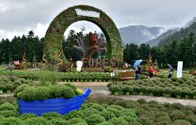 9월 꽃 축제 하는 곳