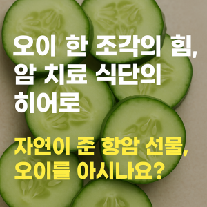 오이 항암 효과