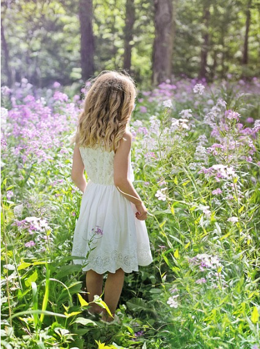 남쪽 vs 동쪽, 2025년 봄 가족 축제 여행지 비교 (1박2일 코스)