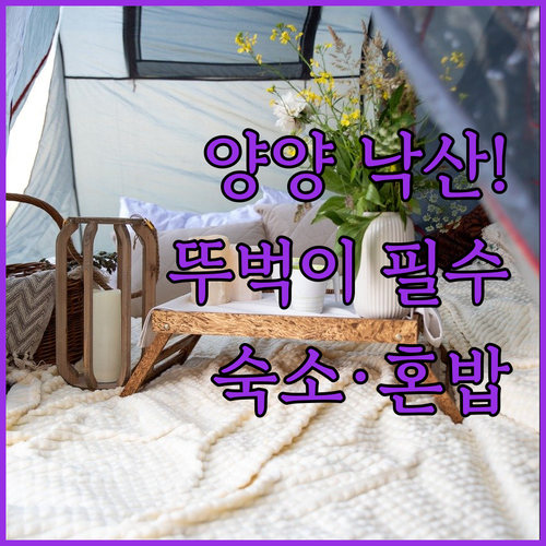 양양 낙산관광호텔거리 뚜벅이 여행 코..