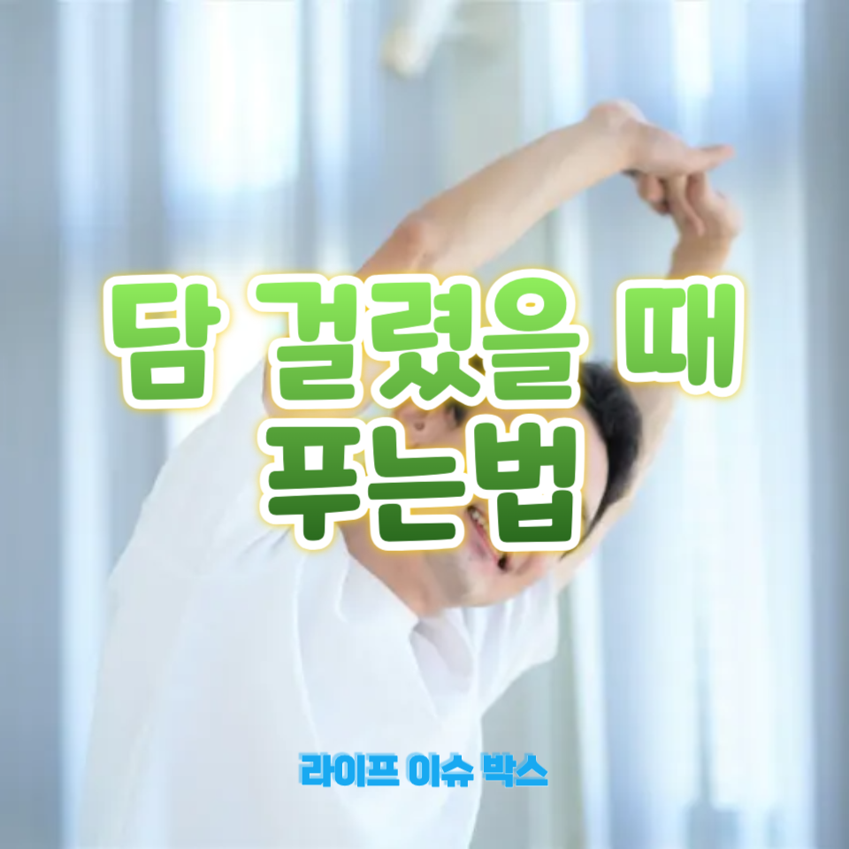 담 걸렸을 때 푸는법