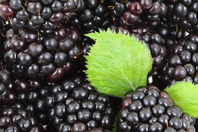 HDL콜레스테롤높이는 방법