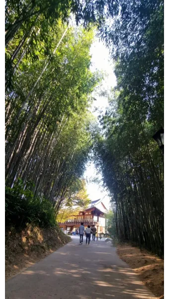 담양 죽녹원 소아르호텔 숙박 맛집_7