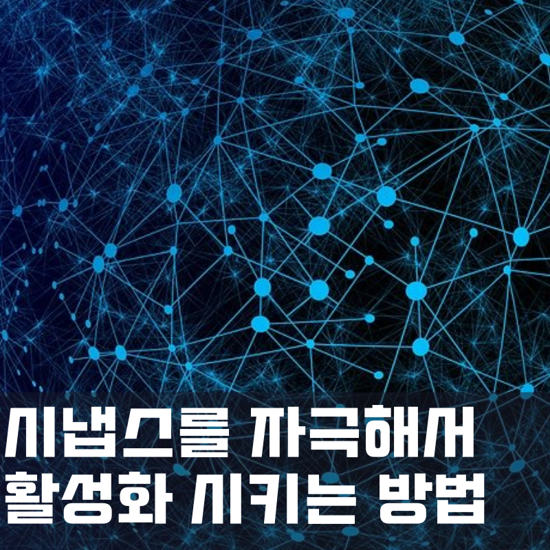 시냅스를 자극하는 방법

