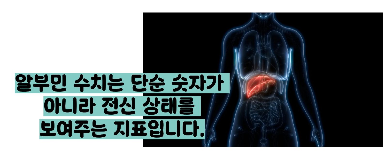 알부민 수치 낮으면