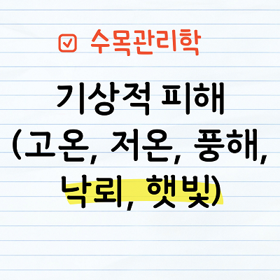 기상적피해