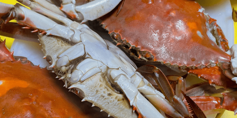 맛있게 요리 되어 있는 꽃게