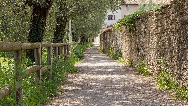 오늘의무료운세