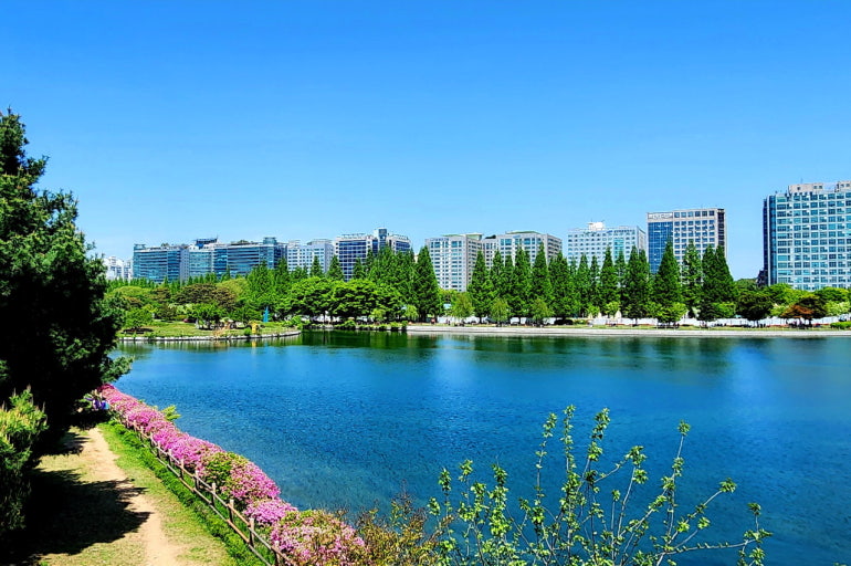 2025 고양 가을꽃 축제 일정 & 즐길거리 총정리 관련 사진