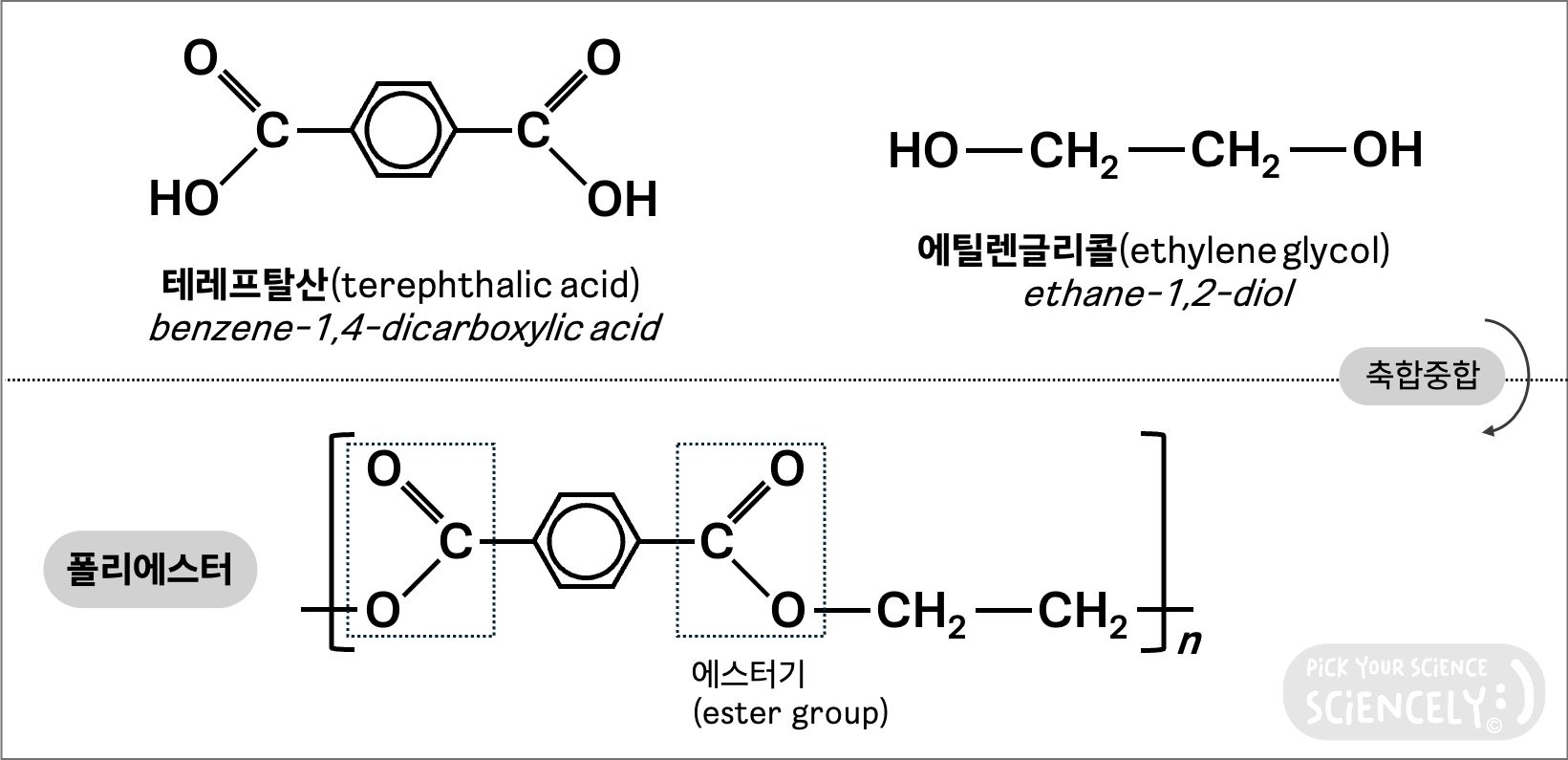 폴리에스터 PET 화학 구조, 테레프탈산, 에틸렌글리콜 알코올, 축합 중합 반응