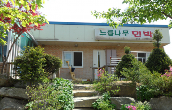 DMZ 펀치볼 둘레길