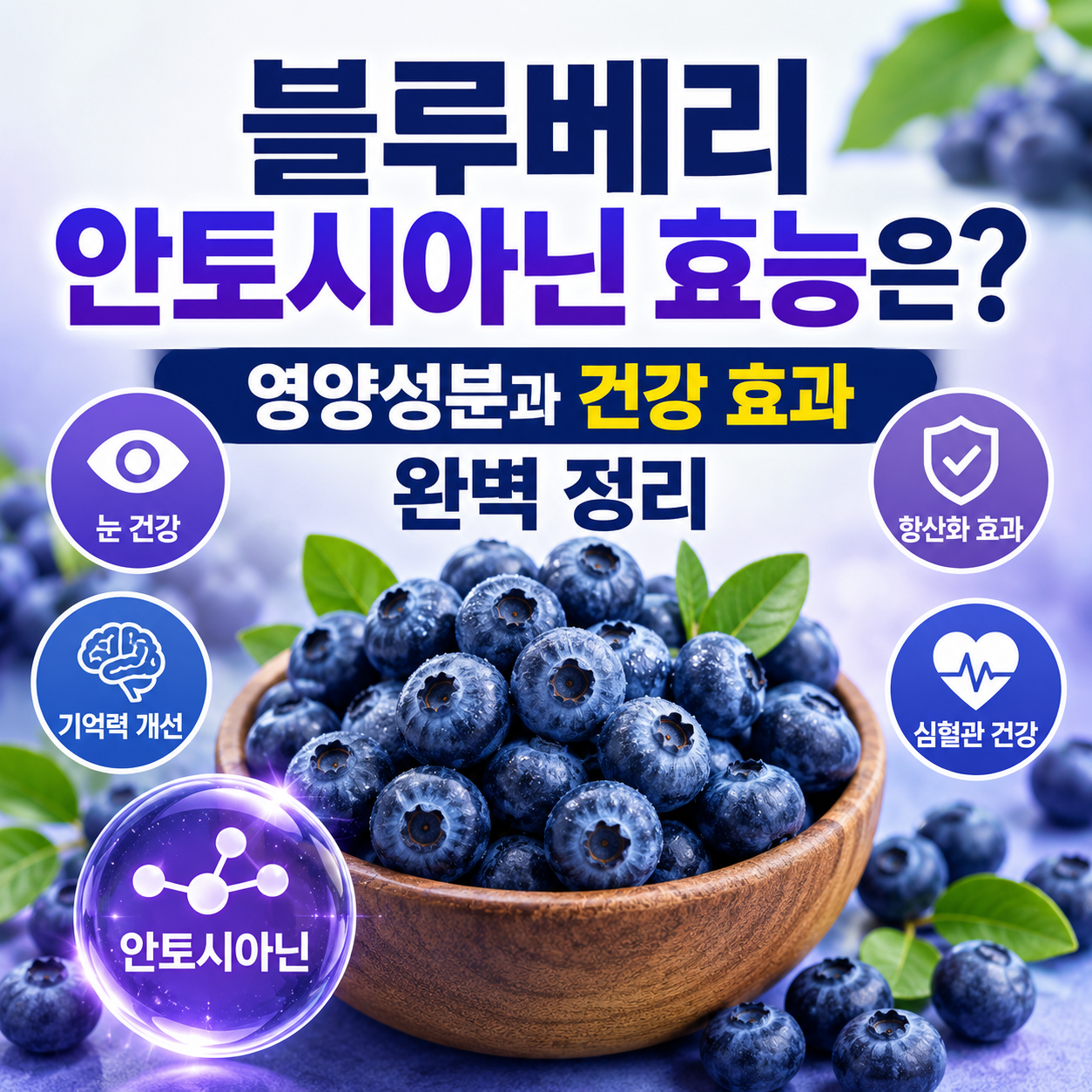 블루베리 효능