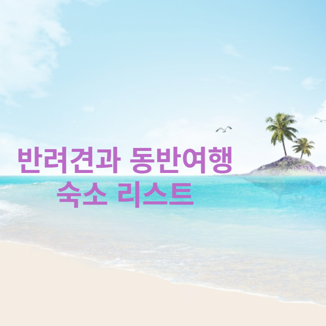 반려견 동반여행 숙소리스트