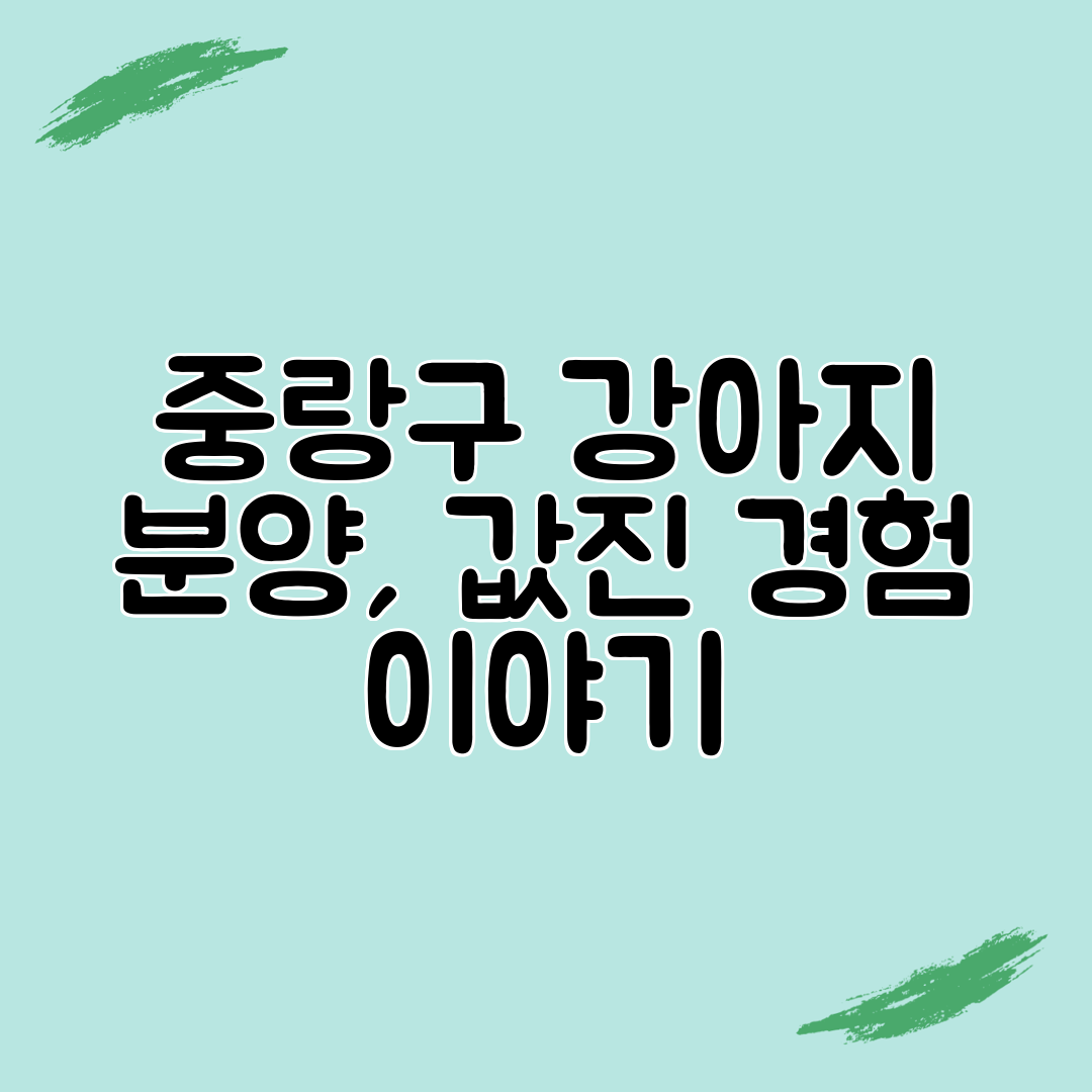 중랑구 강아지 분양, 값진 경험 이야기
