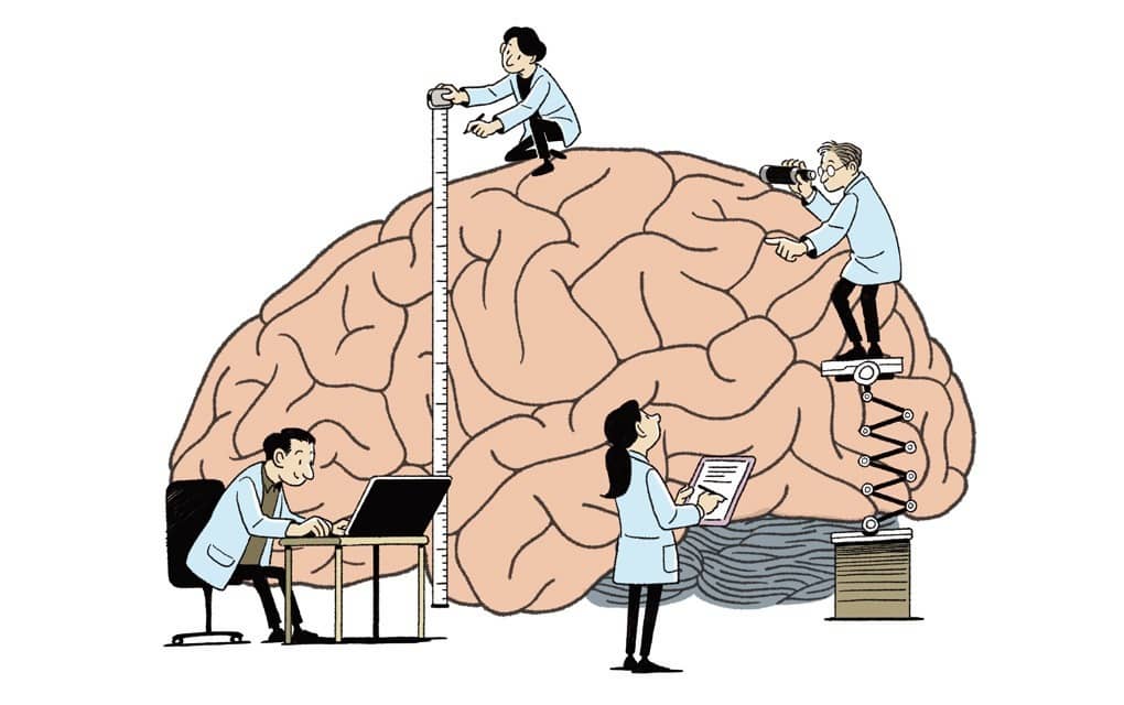 뇌 건강에 좋은 음식, 유전형별로 다르다?