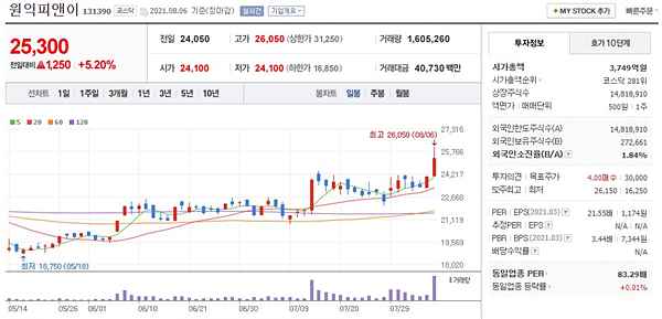 원익피앤이-차트