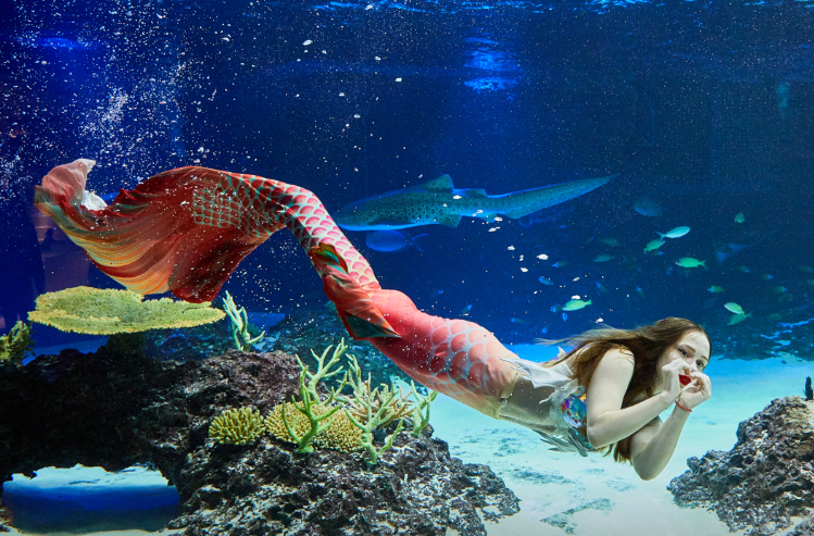 아쿠아플라넷 광교8