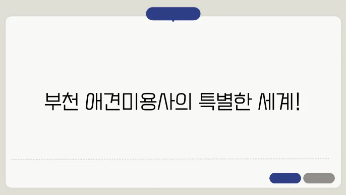부천 애견미용사 자격증 한국애견연맹