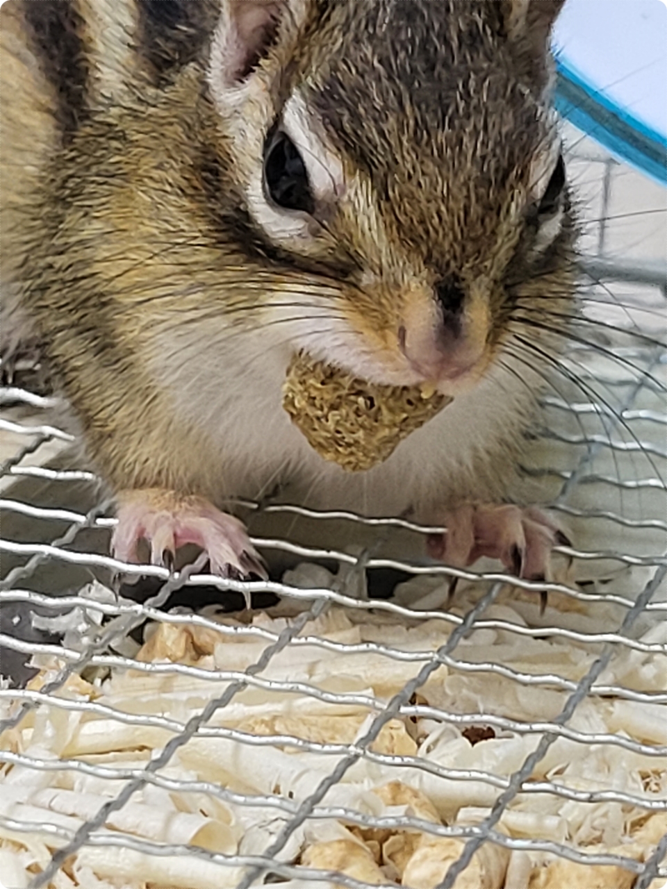 어쭈 웃어