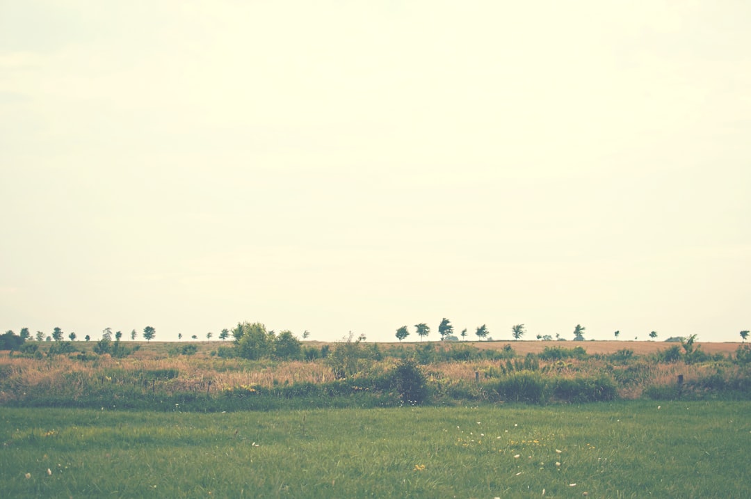 Landuse