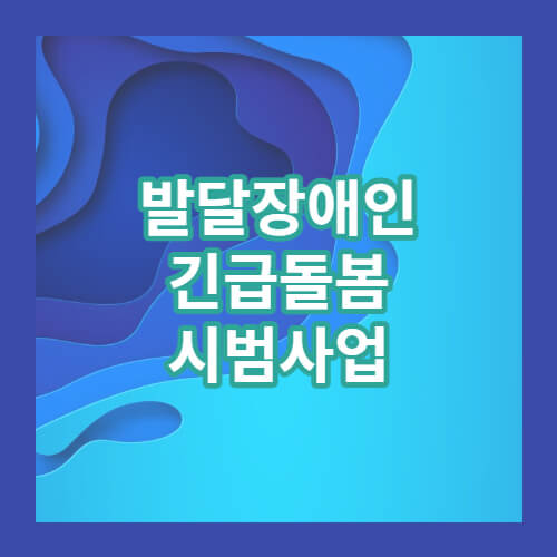 발달장애인긴급돌봄서비스