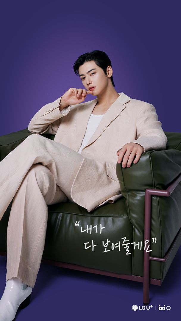 차은우 조세심판 청구 이유: 국세청 130억 세금 완납, 연예인 1인 기획사 실질과세 쟁점 정밀 분석