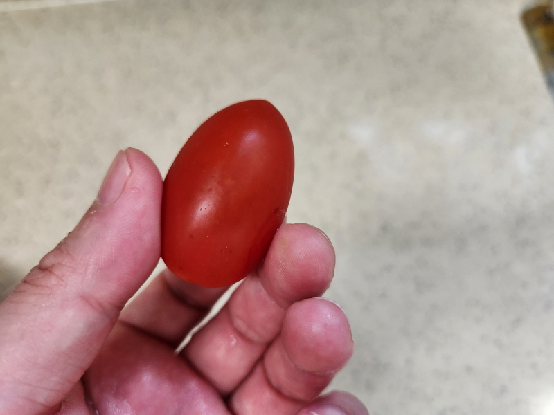 스테비아 방울토마토