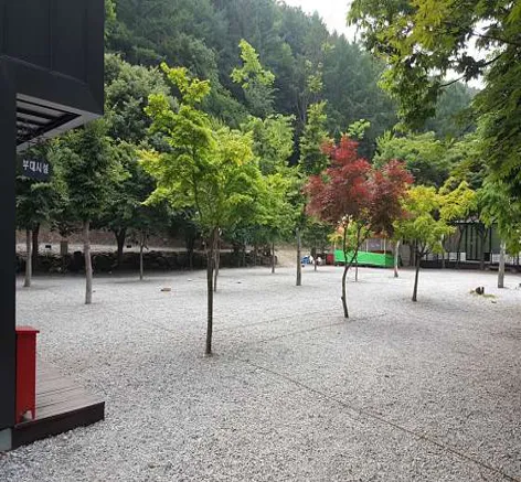 쌍곡예당