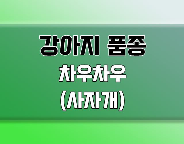 차우차우(사자개)