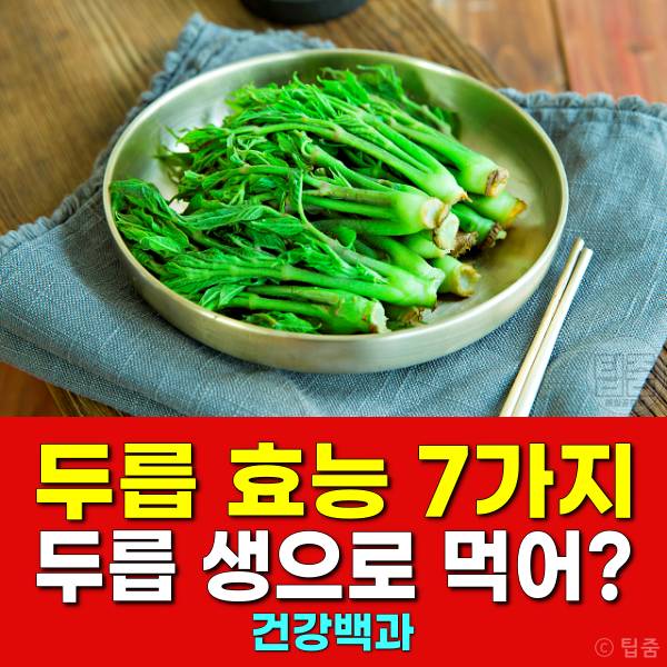 두릅 효능 두릅 생으로 먹어도 되나요 두릅부작용
