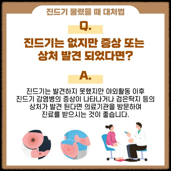 가을철 진드기 감염병 주의보: 예방 방법과 대처 요령