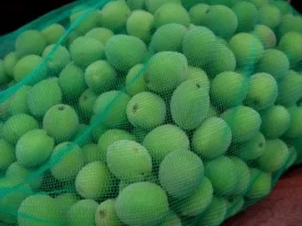 매실액기스 효능 해독 작용 숙취 건강 효과 정리_28