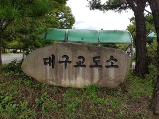 박한상 근황 교도소 보석