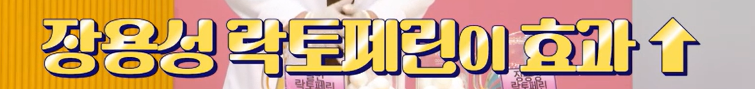락토페린 효능