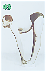 소소한요가 클래스