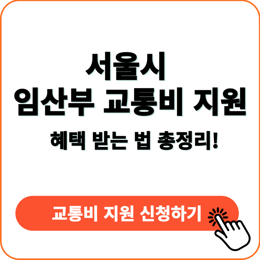 서울시 임산부 교통비 지원