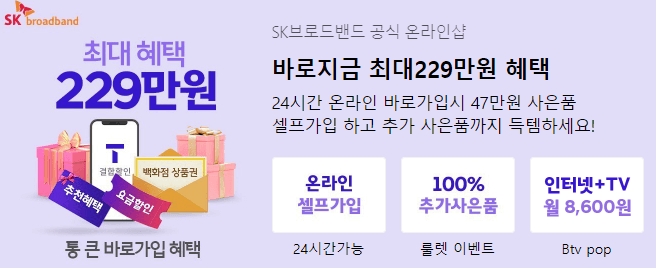 sk브로드밴드